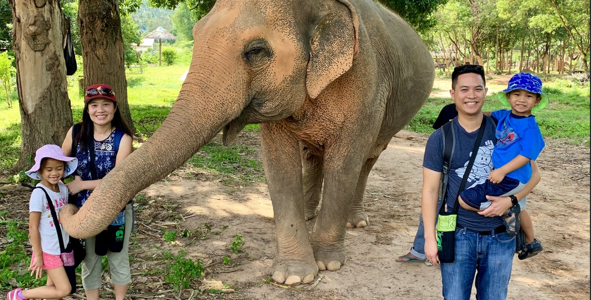 Family adventure — elephant sanctuary